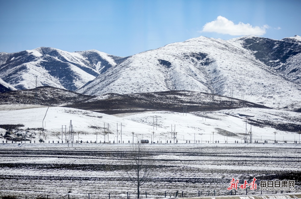 【輪播圖】甘南：初春的碌曲草原無處不是風景_fororder_5