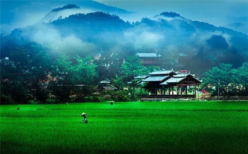 有一種叫雲南的生活|詩意文山_fororder_3