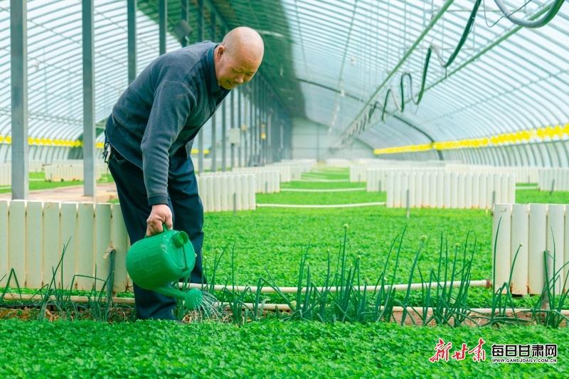 【轉載】【鄉村振興專題】蘭州榆中：追趕春光搶農時 合作社裏備耕忙_fororder_3