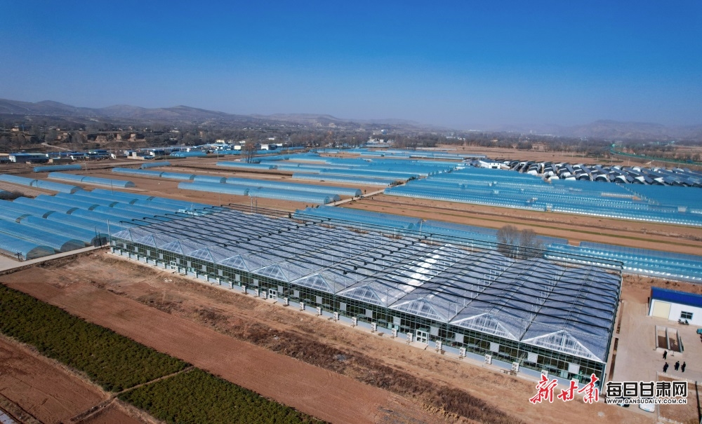 【轉載】【鄉村振興專題】定西渭源高原夏菜繪就現代農業新畫卷_fororder_5