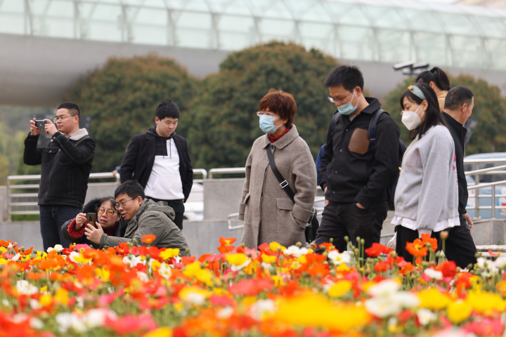 浙大春花爛漫迎客來_fororder_1679210102313_6416b676e176cc0001ce51d7