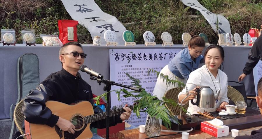 保山昌寧：春茶待採，掬一縷春風入喉_fororder_3