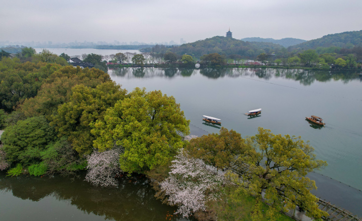 煙雨西湖 水墨江南 春分時節的杭州美不勝收_fororder_1679388743045_64197047e176cc0001cec999