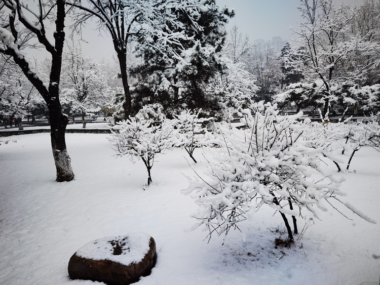 Donghuan-Park in Shijiazhuang bietet eine malerische Schneelandschaft_fororder_圖片18