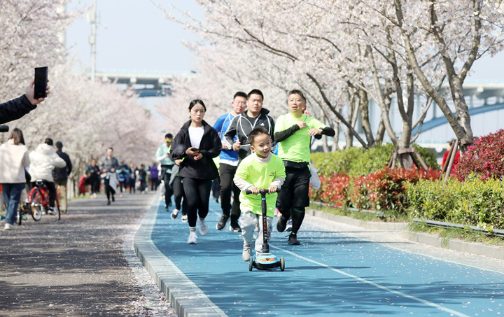 杭州浪漫“櫻花跑”開跑 一路奔向“大蓮花”_fororder_1679803121305_641fc2f1fc222e00010d7e08
