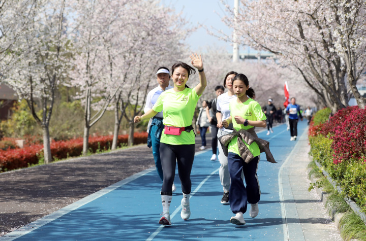 杭州浪漫“櫻花跑”開跑 一路奔向“大蓮花”_fororder_1679803122839_641fc2f2fc222e00010d7e0d