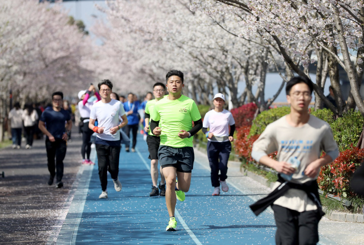 杭州浪漫“櫻花跑”開跑 一路奔向“大蓮花”_fororder_1679803120229_641fc2f0fc222e00010d7e03