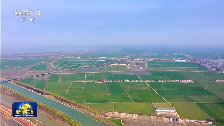 新思想引領新征程丨夯基固本 加快建設農業強國