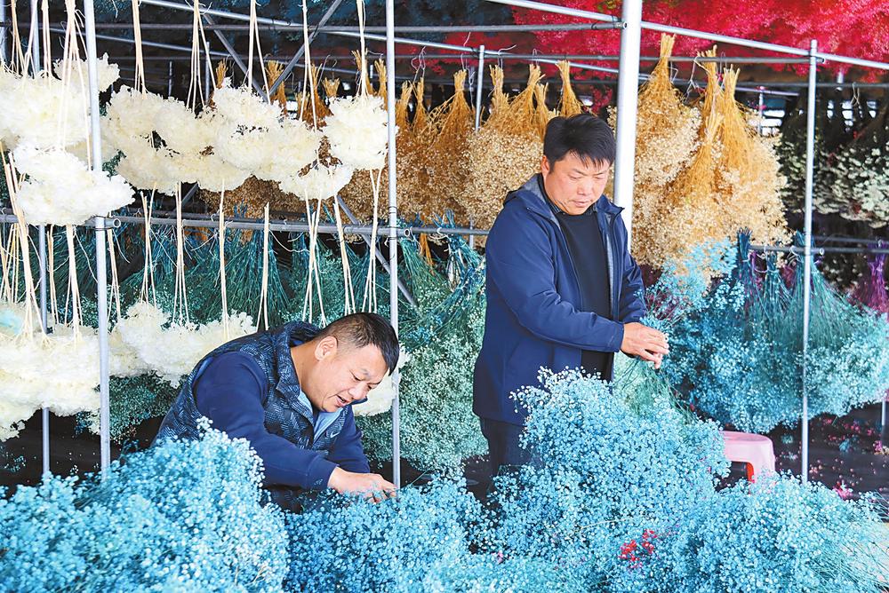 昆明嵩明：聚集鋪路搭橋 深耕人才沃土_fororder_d1d