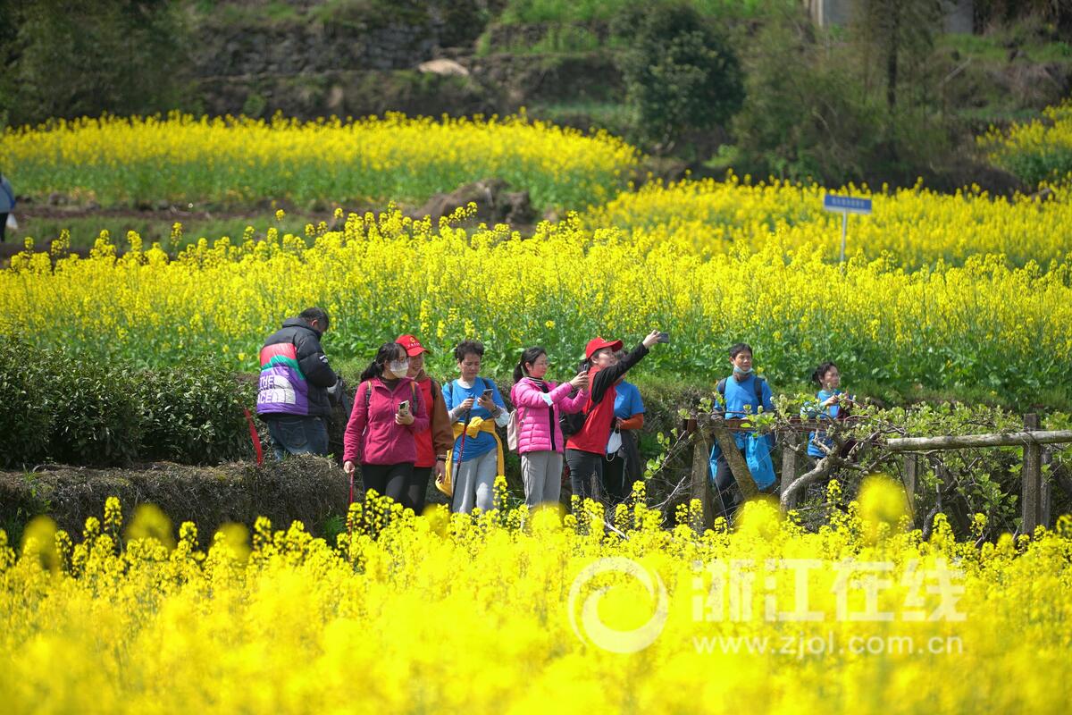 徜徉花海 感受春色_fororder_W020230327296366486155