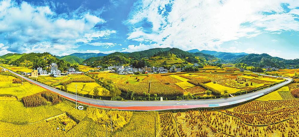 大理州“四好農村路”建設與綠美交通融合_fororder_51c0