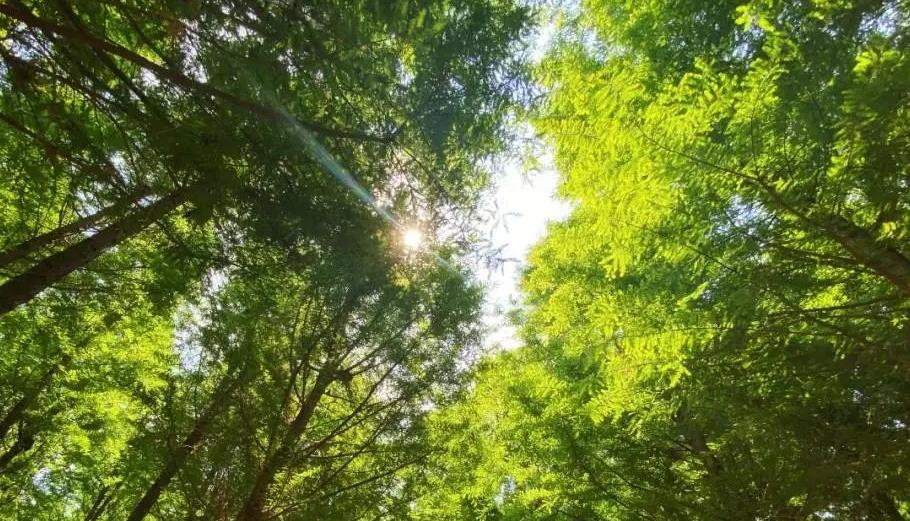 有一種叫雲南的生活 | 去有風的大理 來有雲的呈貢_fororder_6