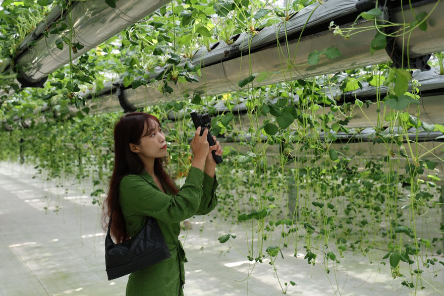 [2023 Daka China] Foreign Internet Influencers Visit Beautiful Countryside_fororder_打卡2