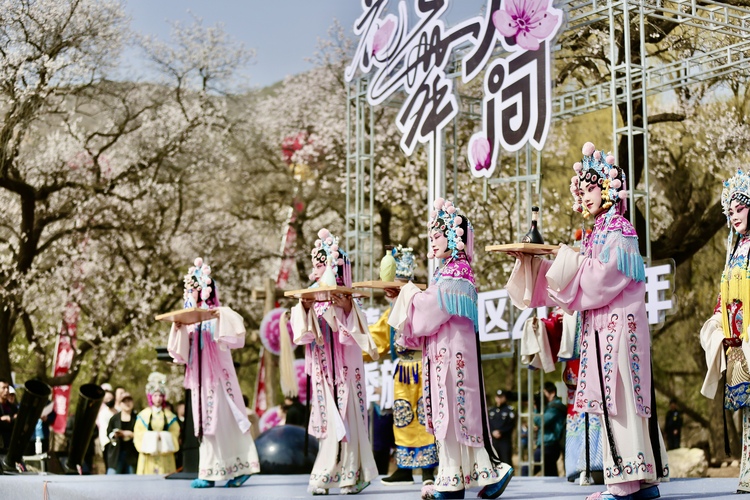 內蒙古回民區：“杏福樹下”共繪文旅高品質發展藍圖_fororder_IMG_8071