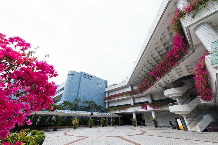 2023高招進行時|香港城市大學 注重學生國際化發展 學科排名全球靠前 招生約220人 全英文教學_fororder_3
