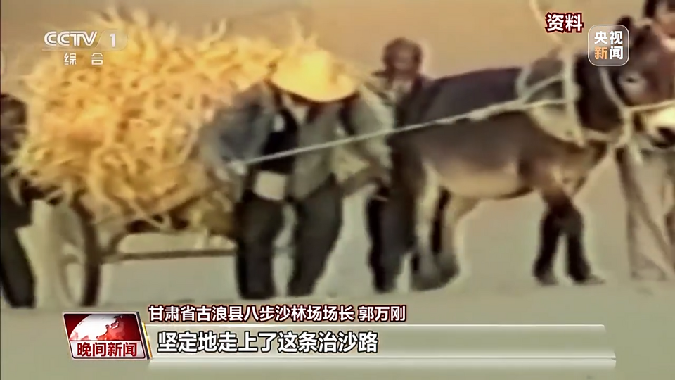 禮讚勞動者！他們堅守一線用汗水譜寫讚歌