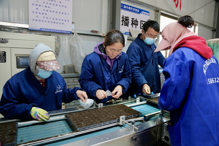 “智慧大棚＋科技創新”點燃設施農業高品質發展新引擎_fororder_微信圖片_202305041616413