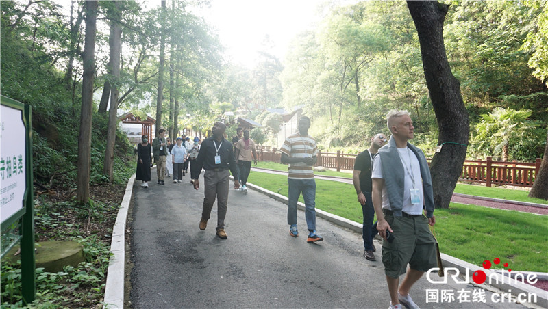 Belt and Road International Youth Experience Team Arrives in Dongzhai National Nature Reserve_fororder_圖片7