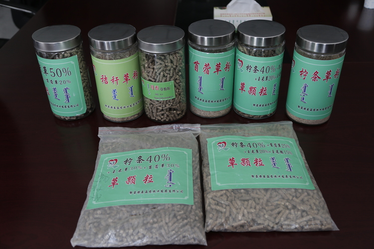內蒙古昂素鎮：實踐“一株檸條”到“一塊好肉”的産業藍圖_fororder__MG_3419.JPG