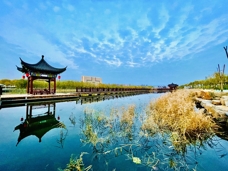 魅力之城 大美烏海_fororder_1碧水藍天水中游