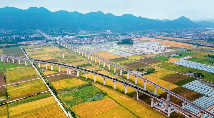 瞭望·治國理政紀事｜“千萬工程”塑造美麗鄉村