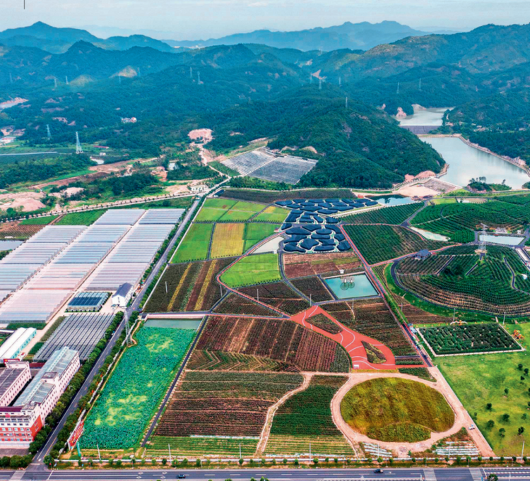 瞭望·治國理政紀事｜“千萬工程”塑造美麗鄉村