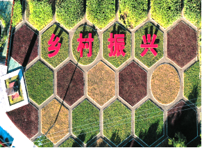 北控集團：培植特色旅遊産業 助力美好活力鄉村_fororder_3