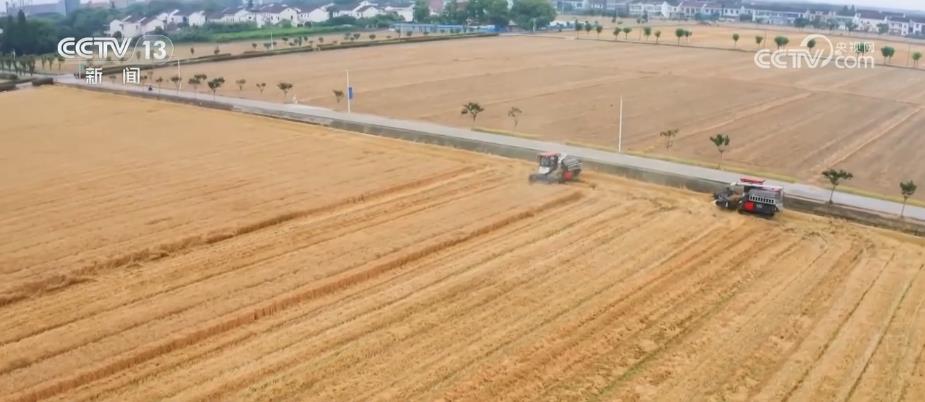北斗導航系統無人駕駛插秧機、收割機提升夏收夏種效率