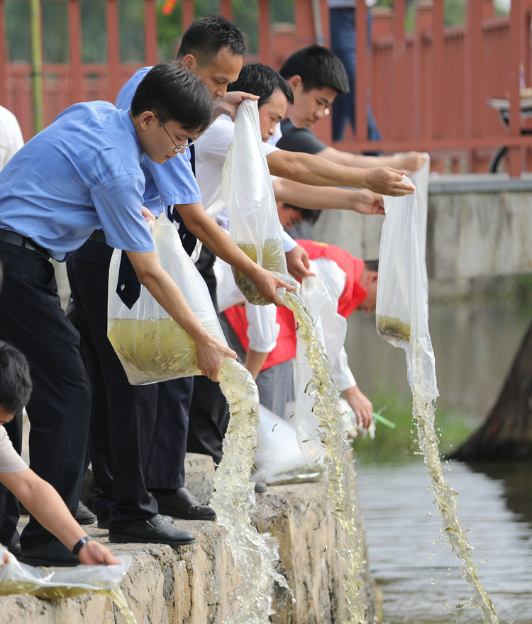 湖南道縣：保護水環境 呵護母親河_fororder_3