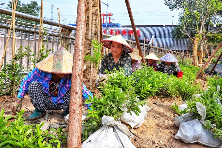 在“小而美”中傳遞“微幸福”! 婺城溪畔“口袋公園”建設穩步推進_fororder_1686127561081_648043c9d0ff8e0001f696f1