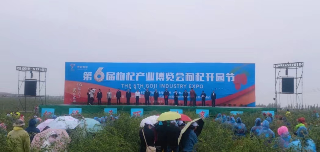 杞福天下 共享健康  第六屆枸杞産業博覽會枸杞開園節隆重開幕_fororder_WechatIMG2170