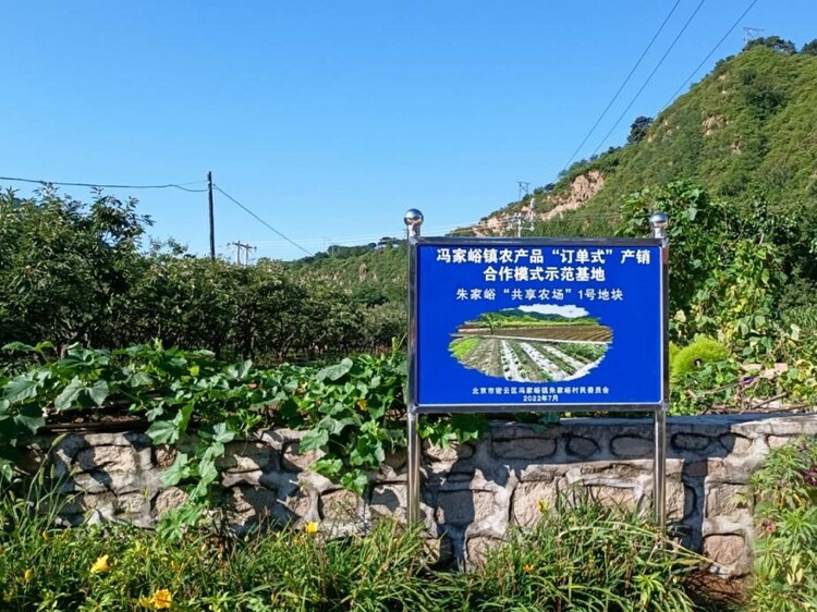北控集團：培植特色旅遊産業 助力美好活力鄉村_fororder_2