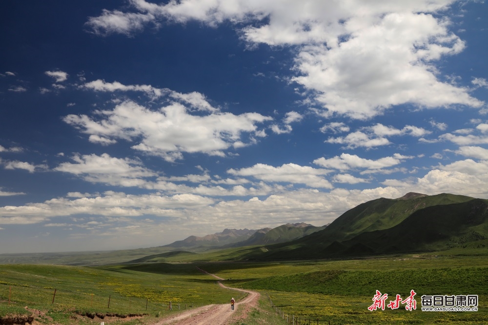 張掖：高溫來襲 在山丹馬場盡享22℃的夏天_fororder_8