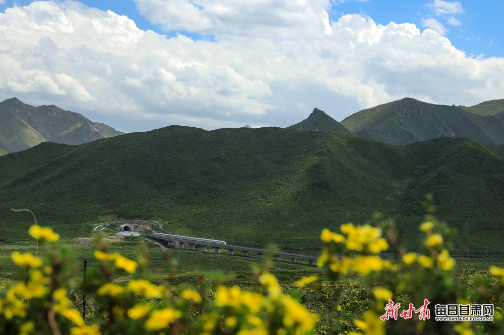 張掖：高溫來襲 在山丹馬場盡享22℃的夏天_fororder_6