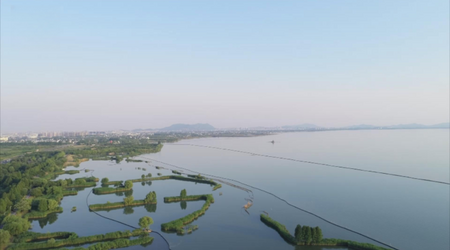 見證“八八戰略”指引之路︱一湖藍藻的消亡史，沿岸城市合奏《太湖美》