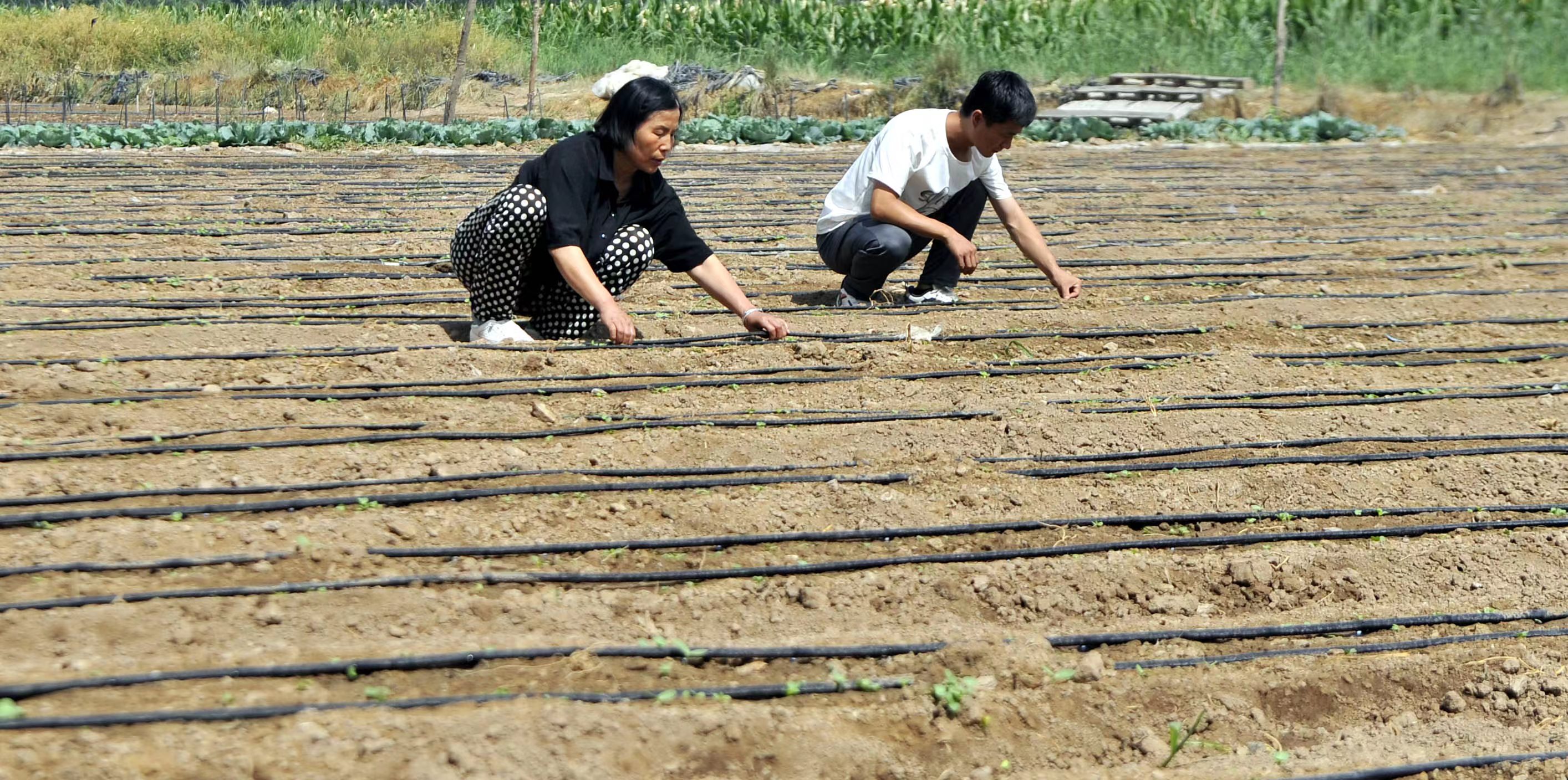 寧夏青銅峽市大壩鎮蔣南村壯大集體經濟_fororder_微信圖片_20230724163419