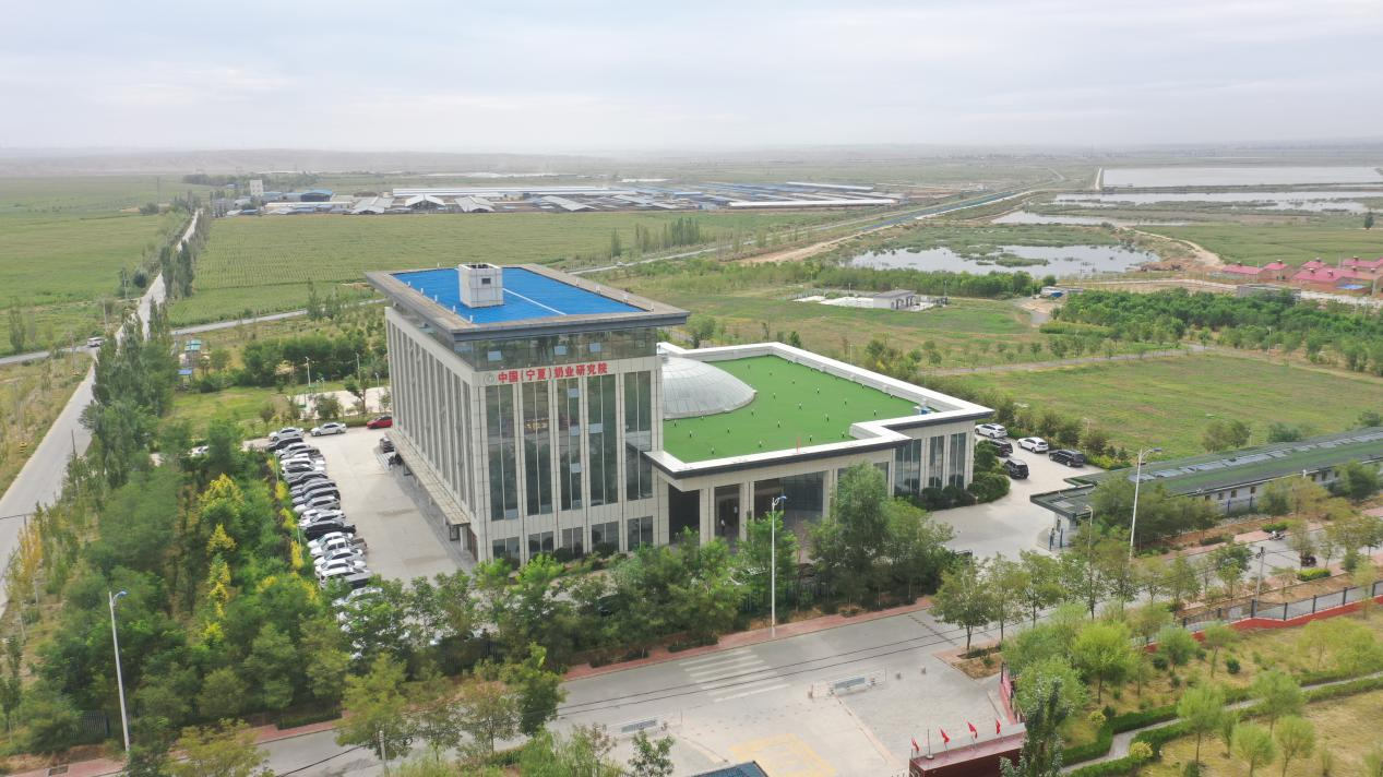 “伊利”專家登門為吳忠奶牛儲備優質口糧_fororder_圖片16