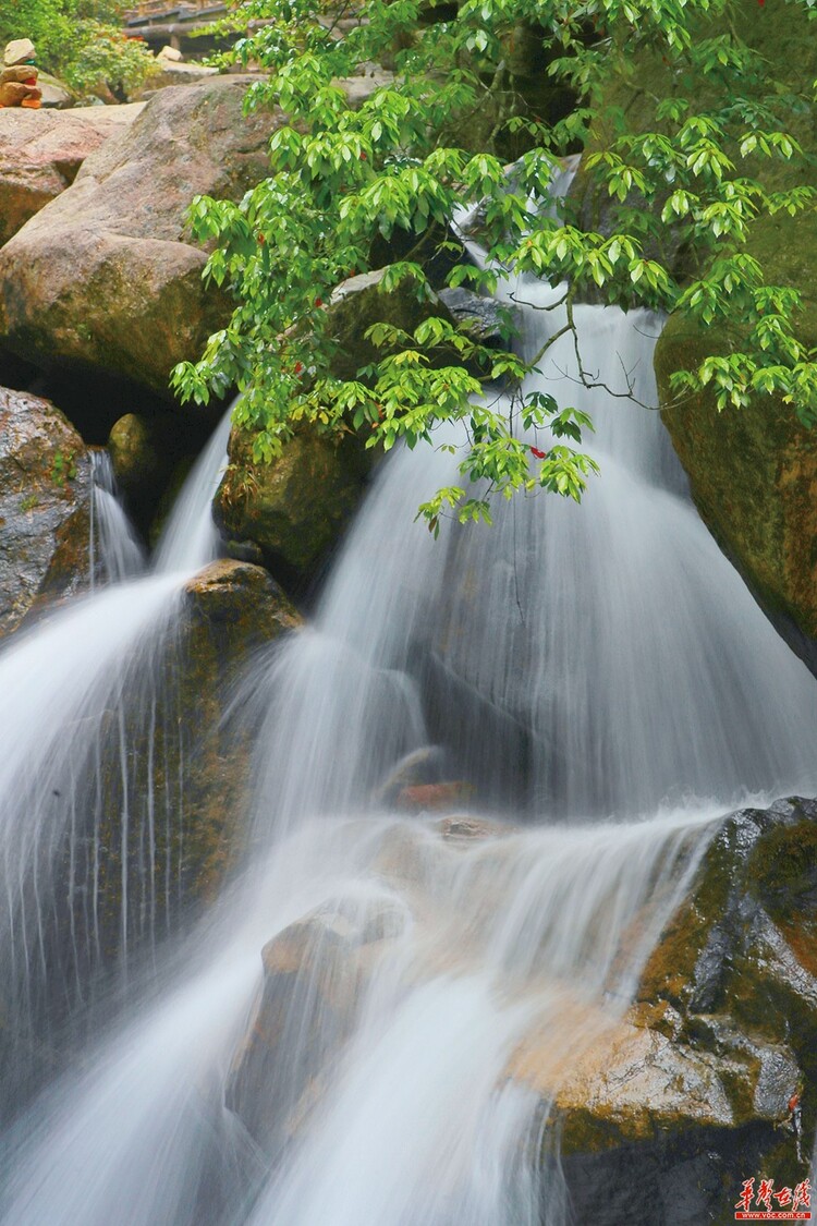 湖南郴州：山水畫卷 天下莽山