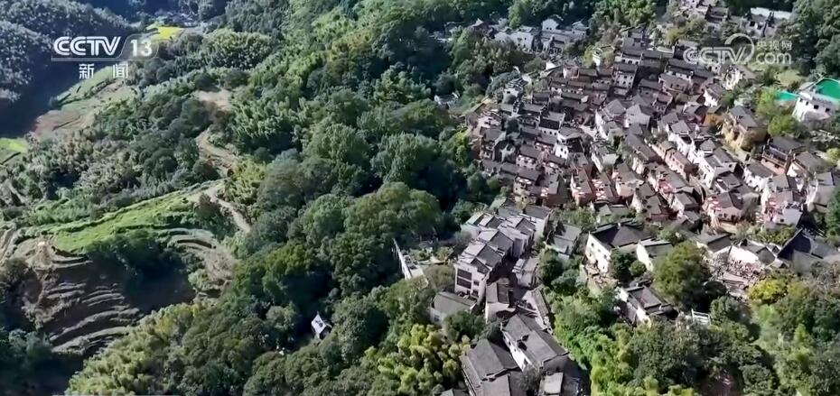 金秋山河多錦繡 禾黍盈滿“畫”豐收