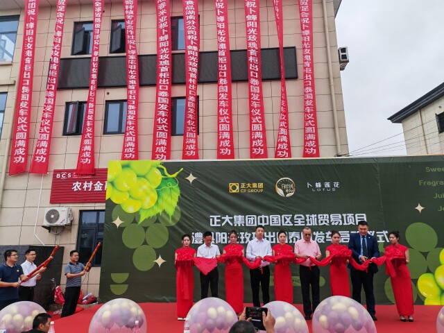 湖南鮮葡萄首次出口泰國