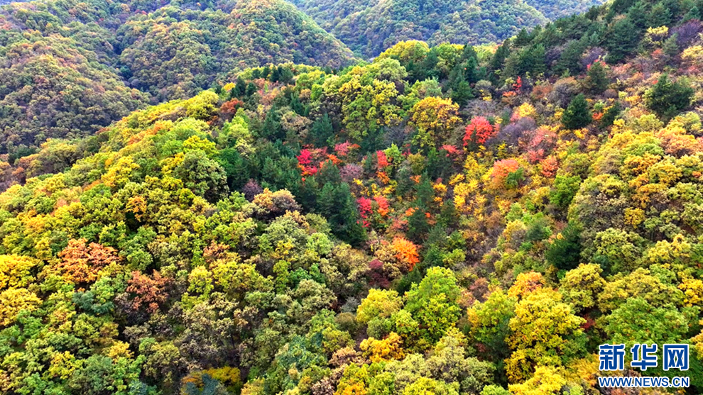 【輪播】甘肅崇信：群山疊彩唐帽山_fororder_4
