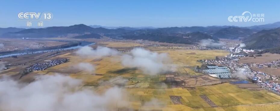 金秋山河多錦繡 禾黍盈滿“畫”豐收
