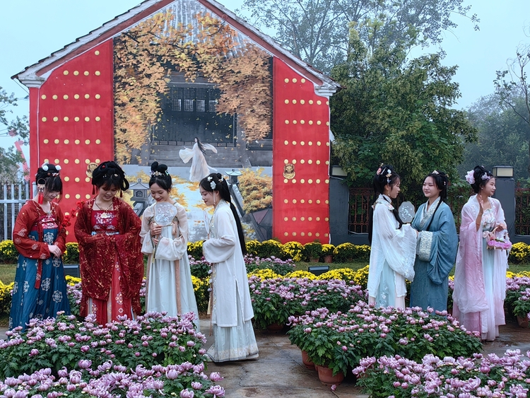 安徽·固鎮菊花文化旅遊季開幕_fororder_微信圖片_20230930130707
