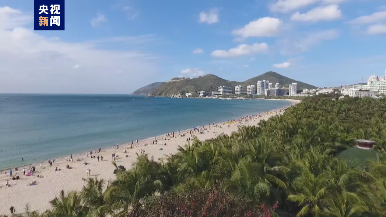 共建“一帶一路”·海南説丨椰風樹影 活力“熱島”
