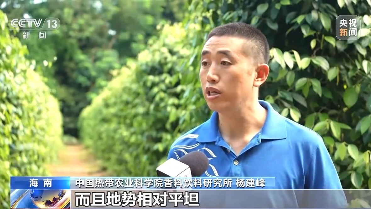 從農業技術到産業合作 海南熱帶農業交流合作實現互惠互利