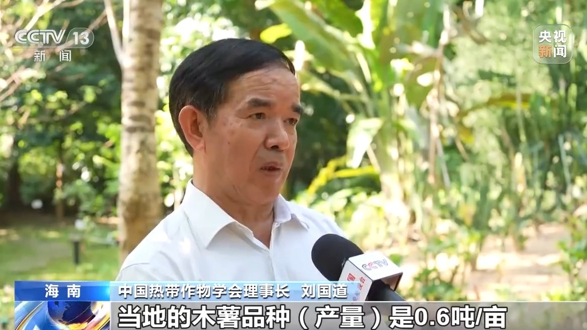 從農業技術到産業合作 海南熱帶農業交流合作實現互惠互利
