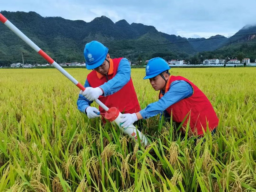 State Grid Shaanxi Electric Power: Be a Good 'Power Guardian' for the Masses and Safeguard the 'Shaanxi Granary'_fororder_圖片4