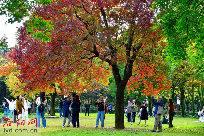 Picturesque Luoyang in Late Autumn_fororder_圖片2