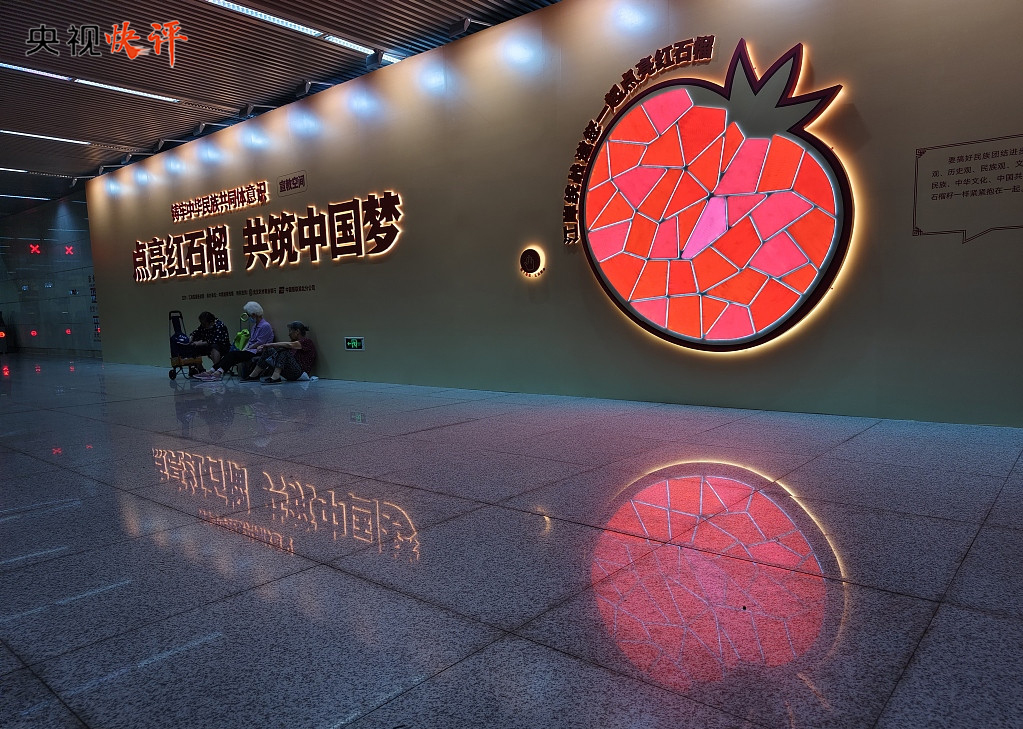【央視快評】推進新時代黨的民族工作高品質發展