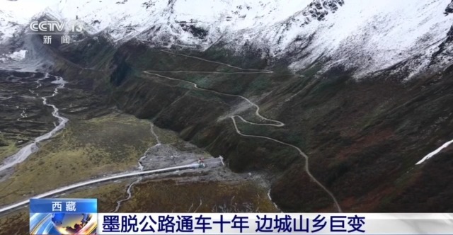 茶田變景點 水果出深山！墨脫公路通車十年 邊城山鄉更美了